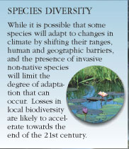 Species Diversity