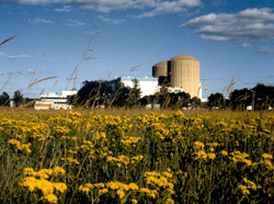 Photograph of Prairie Island 1