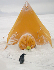 Antarctic_Ex_6.jpg