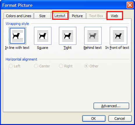 Screen capture of the Format Picture tool. The Layout and Web tabs are highlighted with red boxes.