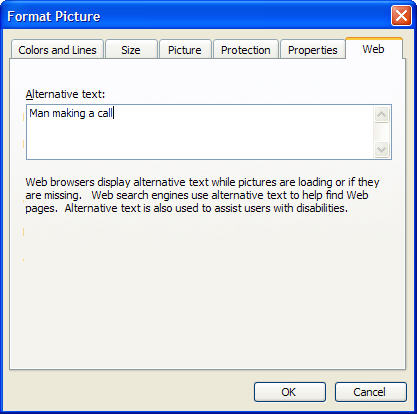Format Picture tool showing the Web Alternative Text field.