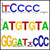 BMC Genomics 2008, 9:582
