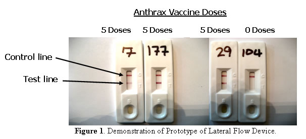 Figure 1. Demonstration of prototype Lateral Flow Device.