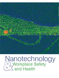 NIOSH Pub 2004-175 art and title image