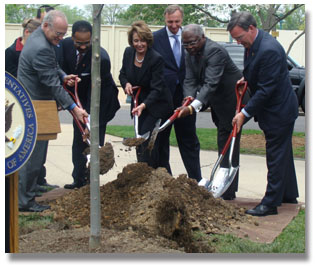 Speaker Pelosi planting a tree