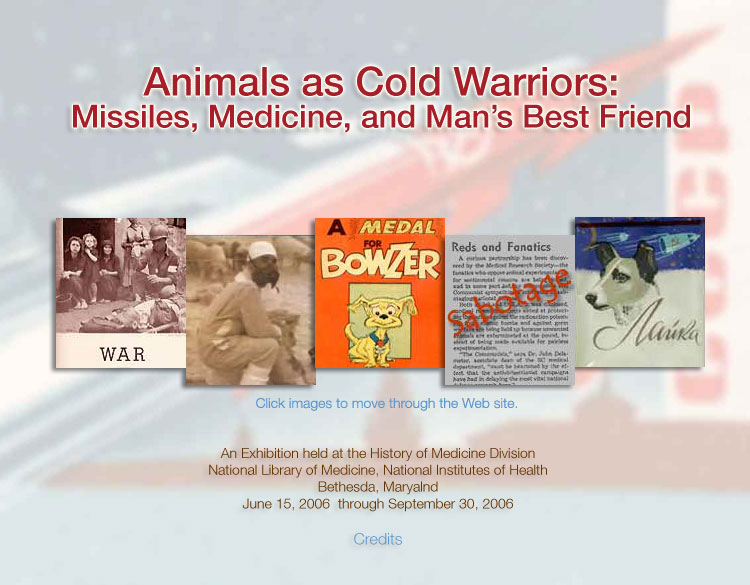 Animals as Cold Warriors Home