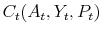 \displaystyle C_{t}(A_{t},Y_{t},P_{t})