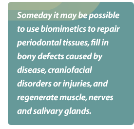 Someday it may be possible to use biometrics to repair periodontal tissues, fill in bony defects caused by disease, craniofacial disorders or injuries, and regenerate muscle, nerves and salivary glands.