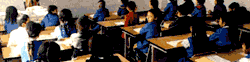 Children Sitting in a Classroom