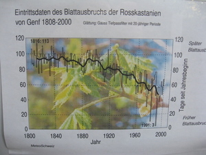 Swiss_Phenology_2.jpg