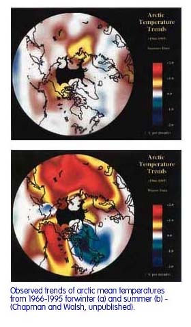 Observed trends of arctic mean temperatures from 1966-1995 for winter and summer.