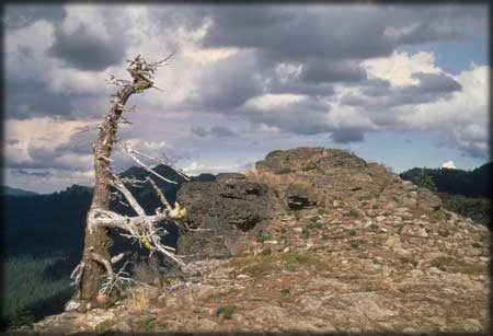 [PHOTO: Rogue Umqua Divide Wilderness]