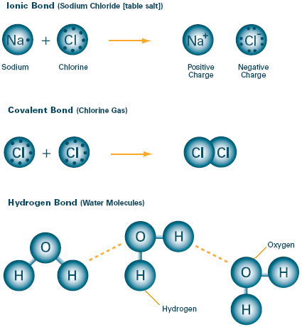 Illustrations of ionic bond, covalent bond and hydrogen bond.