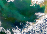 Swirls of Color in the Bering Sea