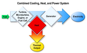 In combined cooling, heat, and power systems, fuel consumed in the prime mover (typically a turbine, microturbine, engine, or fuel cell) produces mechanical power and waste heat. The mechanical power turns a generator, creating electricity; and the waste heat is used in some type of thermal process.