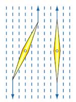 Agujas de brújula alineadas con las líneas de fuerza del campo magnético terrestre