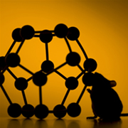 mouse, buckyball, nanotechnology