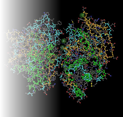 3D structure of an enzyme molecule representing enzyme ingredients
