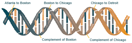 A DNA computer can solve extremely difficult math problems.