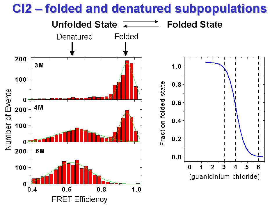spFRET histograms of CI2 at 3, 4, and 6 M guanidinium chloride, with the midpoint of the transition between the folded and denatured state at 4 M.