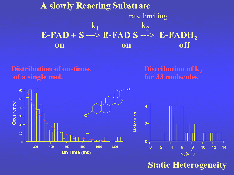 Distribution of times spent in the fluorescent state from single cholesterol oxidase molecules with a cholesterol derivative as substrate, where k2 is the rate-limiting step. Left: the distribution of 'on-times' for a single molecule. Right: distribution of k2 derived from 33 different molecules in the same sample.