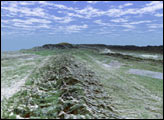 San Andreas Fault in the Carrizo Plain
