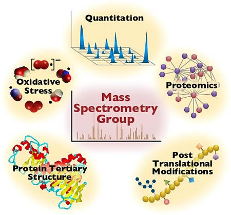 circular diagram of Tertiary Structures of Proteins