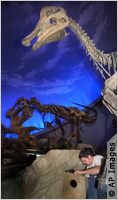 نجار يعمل في إعداد معرض ديناصورات تفاعلي في متحف إنديانابولس للأحداث في إنديانا
