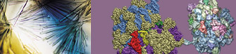 From left to right: Image of crystals and structure of a ribosome