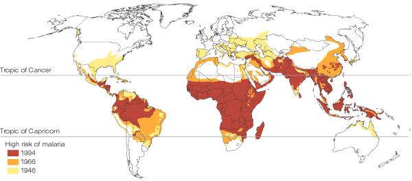 World map showing endemic areas