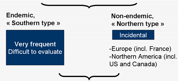 Transfusion transmitted malarial infection, southern type endemic and northern type non endemic