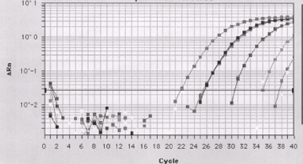 Detection Limit of the TaqMan Assay for P. falciparum Parasites Spiked in Normal Blood