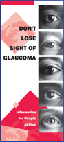 image of Don't Lose Sight of Glaucoma brochure