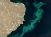 South Atlantic Phytoplankton Bloom