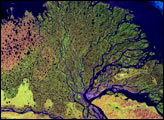 Lena River Delta