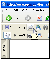 Screenshot of cursor over print button in a browser's PDF reader toolbar