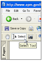 Screenshot of cursor over select button in a browser's PDF reader toolbar