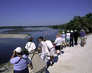 Ding Darling National Wildlife Refuge in Florida