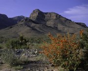 photo of Nevada Desert National Wildlife Refuge