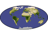 Global Vegetation