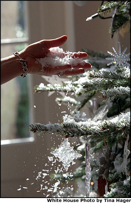 Entering the White House throught the East Wing Lobby, guests are greeted by a snow-covered Fraser fir tree Christmas tree in the East Garden Room. More than 800 pounds of snow were used to decorate trees and other displays within the White House this season. White House photo by Tina Hager.