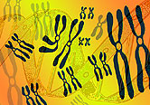 HealthDay news image for article titled: Common Genes Link Bipolar Disorder, Schizophrenia