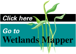 Wetlands Mapper logo image