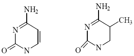 Chemical structure of Cytosine and 5-methyl cytosine