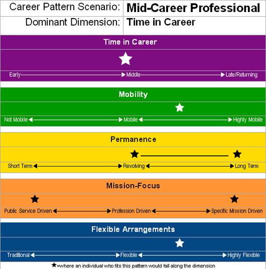 Mid-Career Professional Scenario