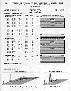 Example of Blood Chemistry Test Sheet