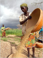 woman sifting grain