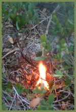 [Photograph]:  This low intensity flame is one method used to ignite fuels during the execution of a Prescribed Burn Plan. 2002 Amy L. Reid, USFS.