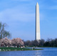 Washington DC Tours