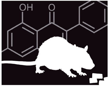 illustration of rodent and chemical structure